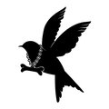 Top Deals from SBC CLOTHING: Limited-Time Savings You'll Love