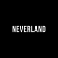 Neverland Store AU